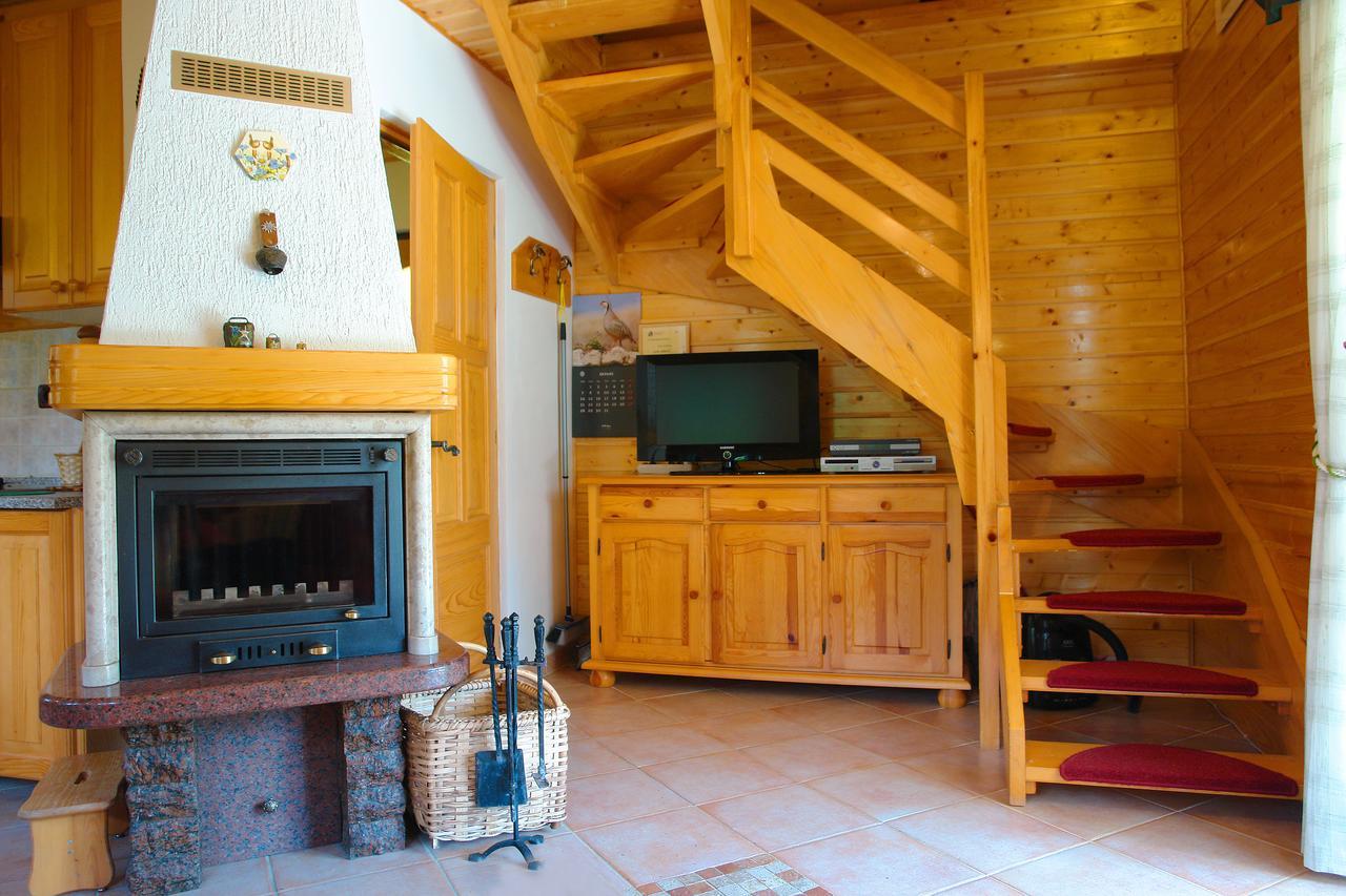 Chalet House Olga Crni Lug Rum bild