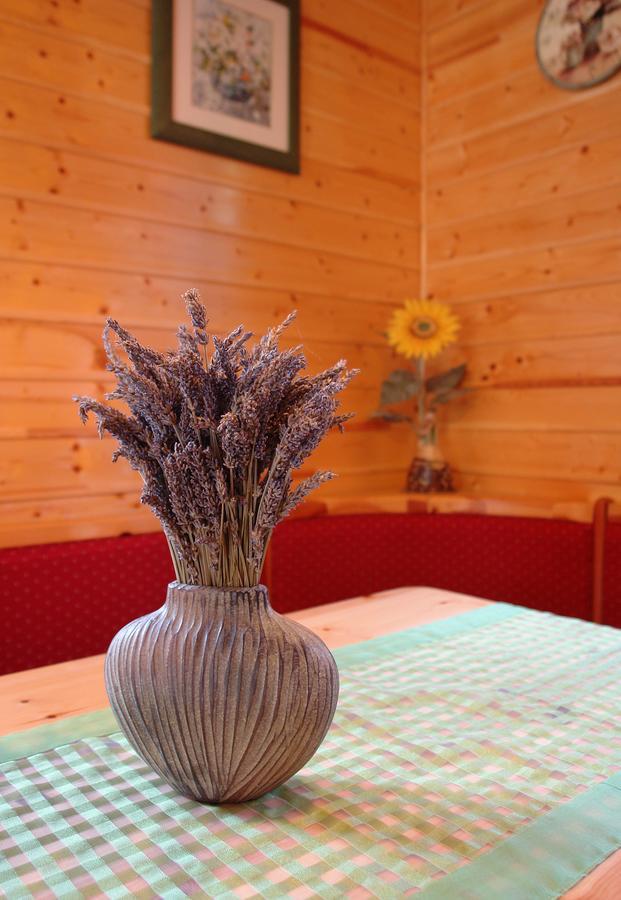 Chalet House Olga Crni Lug Rum bild