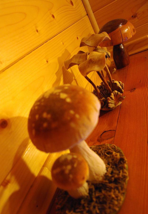 Chalet House Olga Crni Lug Rum bild