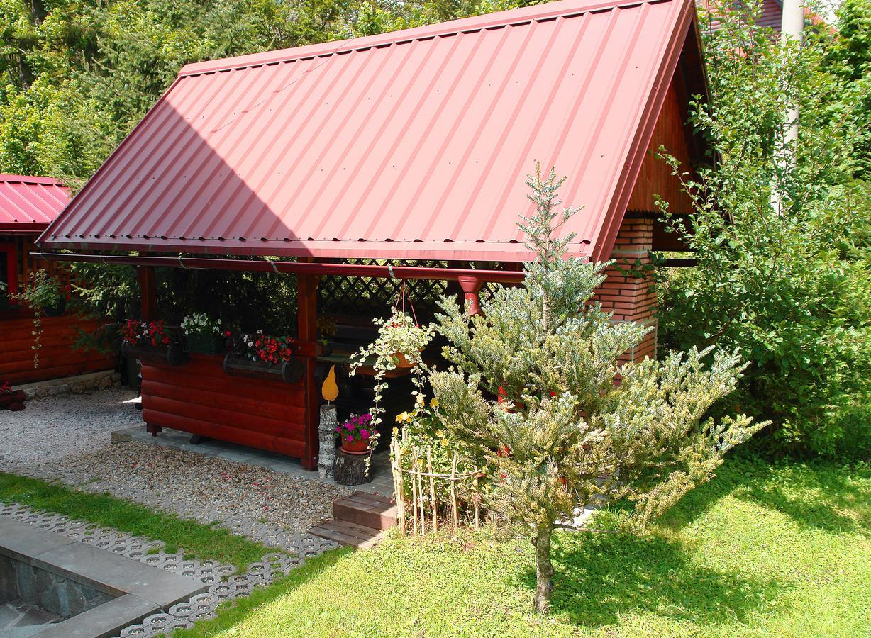 Chalet House Olga Crni Lug Rum bild